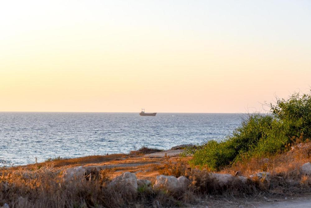 Beautiful Apartment Near The Sea And A Large Private Garden Paphos ภายนอก รูปภาพ